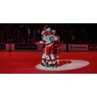 Grand Rapids Griffins celebrate a goal