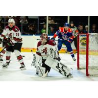 Tucson Roadrunners defend their goal