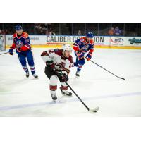 Tucson Roadrunners defenseman Lleyton Moore