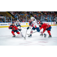 Springfield Thunderbirds forward Dalibor Dvorsky vs. the Milwaukee Admirals