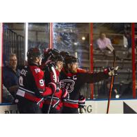 Rapid City Rush congratulate the goal scorer