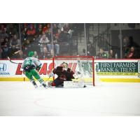 Florida Everblades versus the Indy Fuel