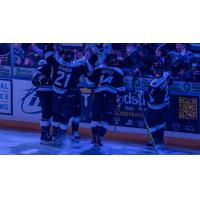 Wichita Thunder celebrate with the crowd