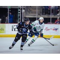 Wenatchee Wild forward Miles Cooper