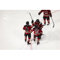 Tucson Roadrunners rookie forward Julian Lutz reacts after his first career goal