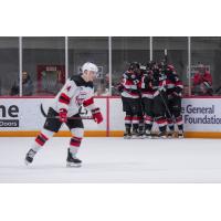 Belleville Senators celebrate a goal against the Utica Comets