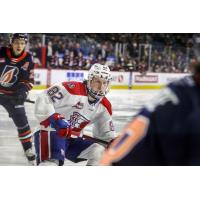 Spokane Chiefs right wing Andrew Cristall