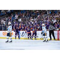 Orlando Solar Bears in action