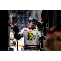 Mathieu Taillefer of the Halifax Mooseheads