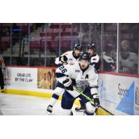 Worcester Railers defenseman Connor Welsh