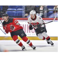 Belleville Senators battle the Utica Comets