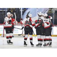 Belleville Senators huddle after a goal against the Utica Comets