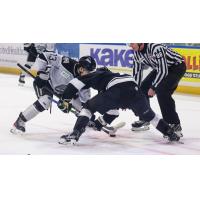 Wichita Thunder face off with the Idaho Steelheads