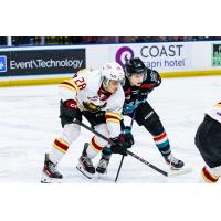 Kalder Varga of the Kelowna Rockets (right)