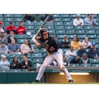 Fargo-Moorhead RedHawks infielder Michael Hallquist