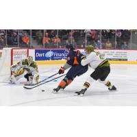 Flint Firebirds' Nathan Aspinall battles the North Bay Battalion