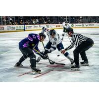 Worcester Railers' Matt DeMelis versus Savannah Ghost Pirates' Liam Walsh