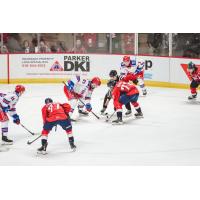 Kitchener Rangers' Trent Swick versus Windsor Spitfires' Cole Davis