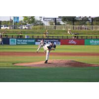 Columbia Fireflies' Tanner Jones in action
