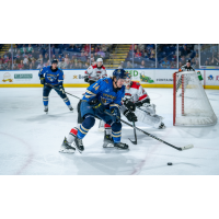 Springfield Thunderbirds' Zach Dean on the ice