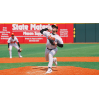 Long Island Ducks on the mound