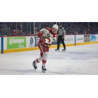 Grand Rapids Griffins left wing Elmer Soderblom