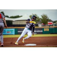 Montgomery Biscuits in action