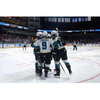 Tahoe Knight Monsters' Troy Loggins celebrates with team