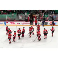 Belleville Senators on the ice
