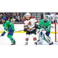 Tucson Roadrunners' Hunter Drew and Abbotsford Canucks' Cole McWard and Arturs Silovs on game night