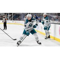 San Jose Barracuda forward Andrew Poturalski