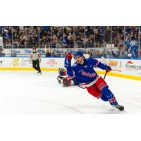 Kitchener Rangers count the goals against the Windsor Spitfires