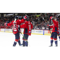 South Carolina Stingrays celebrate a goal