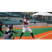 Long Island Ducks infielder Mark Mathias at bat