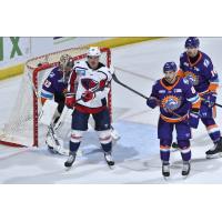 South Carolina Stingrays look for an opportunity against the Orlando Solar Bears