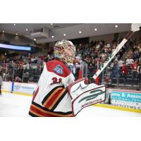 Tucson Roadrunners goaltender Matthew Villalta