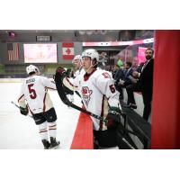 Tucson Roadrunners exchange congratulations along the bench