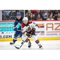 Tucson Roadrunners right wing Austin Poganski