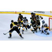 Wheeling Nailers look for a shot against the Norfolk Admirals