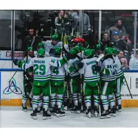 Florida Everblades mob Anton Malmström after his game-winning goal