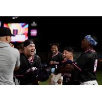 Josh Zamora and the Pensacola Blue Wahoos celebrate a walk-off win