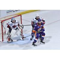 South Carolina Stingrays Mitchell Gibson vs. the Orlando Solar Bears