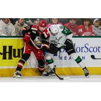 Grand Rapids Griffins defenseman William Wallinder (left) battles the Texas Stars along the boards