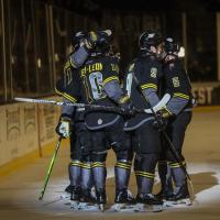 Iowa Heartlanders gather after a goal
