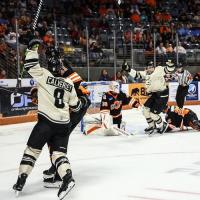 Iowa Heartlanders react after a goal against the Fort Wayne Komets