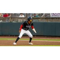 Hickory Crawdads on game night