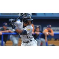 Montgomery Biscuits' Homer Bush Jr. at bat