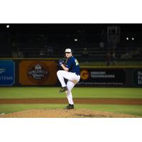 Columbia Fireflies' Tanner Jones in action