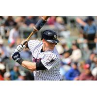 DJ LeMahieu of the Somerset Patriots