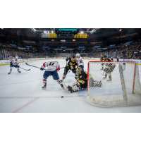 Springfield Thunderbirds look for a goal against the Providence Bruins